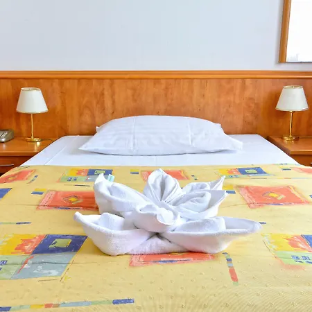 酒店 奥林匹克酒店 布拉格